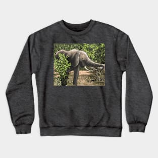 Kruger national park Crewneck Sweatshirt